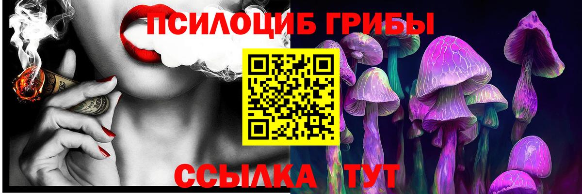 Камышин  закладки  Вход с VPN  Псилоцибиновые грибы GOLDEN TEACHER 